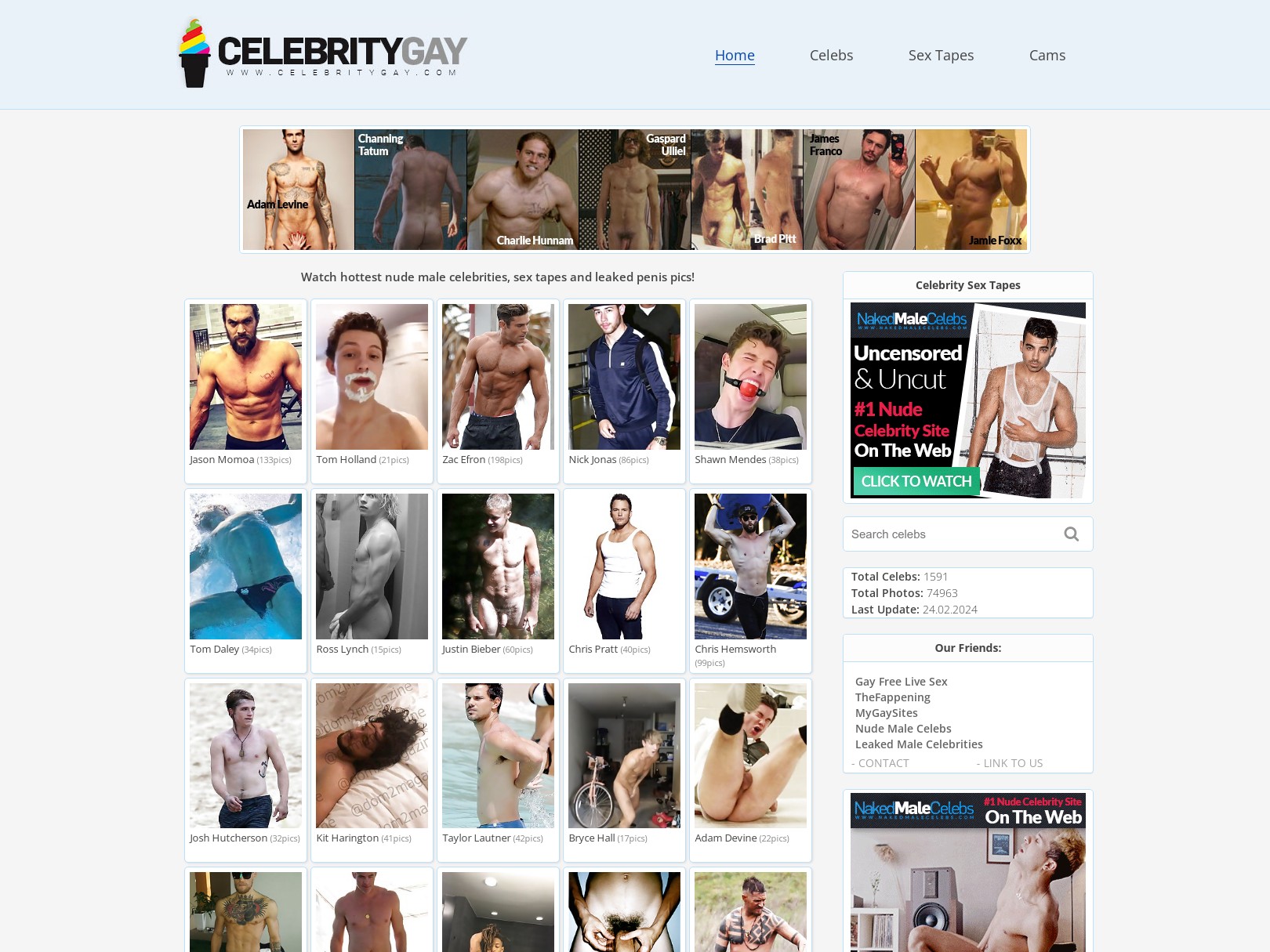 CelebrityGay и 5+ сайтов, подобных CelebrityGay | ГейПорноМеню