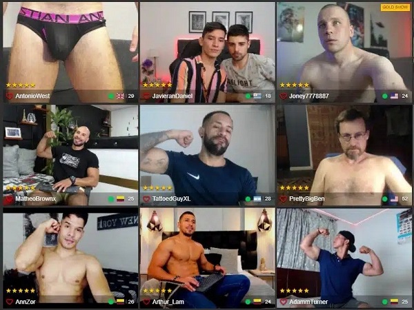 How bunch of gay male cam performers, chatting on gay live cam sites.