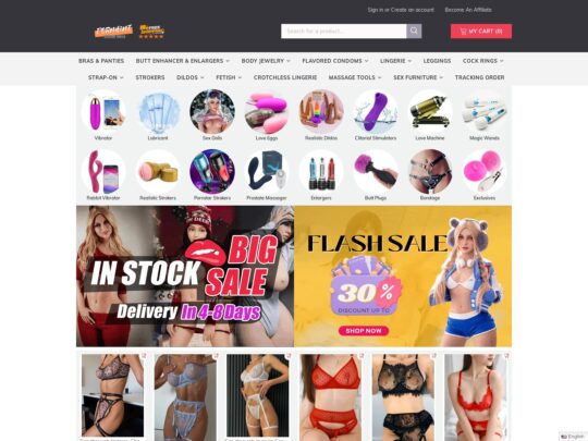 Pornhint review, a site that is one of many popular Gay Sex Toy Shops