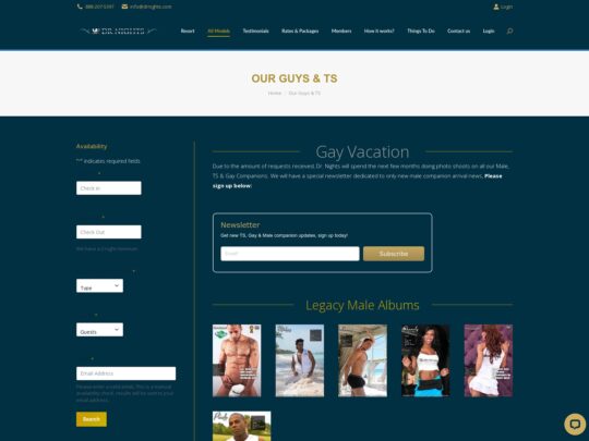 DrNights Men review, a site that is one of many popular Gay Male Escort Sites